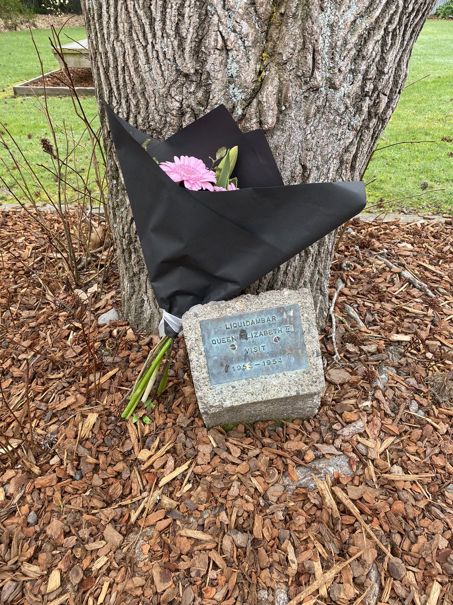 MeakinVictoria's tweet photo. Such a different world to 1954, when this little plaque - in Ohoka, South Island, New Zealand, marked the visit of a Queen. I found this sight so poignant today. #QueenElizabeth #RIPQueenElizabeth https://t.co/MGAuXMHaOi