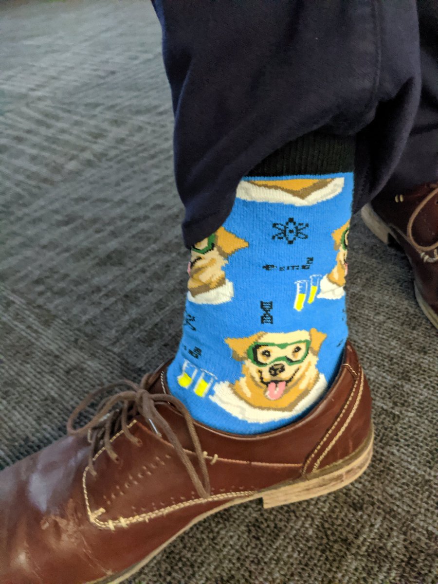 Alex Riegert tweet media