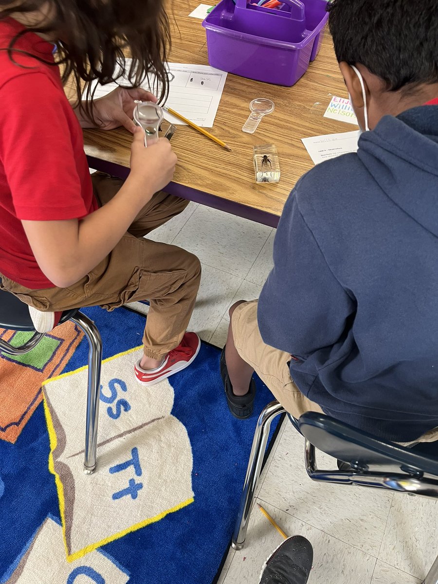 3rd grade <a href="/armisteadschool/">Armistead School</a> students digging into science with a big investigation! Students analyzed various insects &amp; charted their observations. #BmoreEdchat #CLN3theplacetobe
