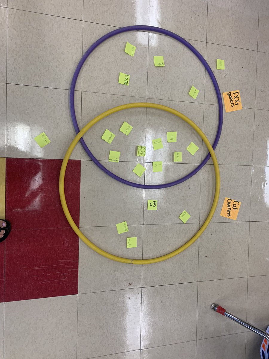 wiffenGr2's tweet photo. Today in grade two we explored #venndiagrams and who owns certain types of pets. Lots of furry friends in our homes! https://t.co/pefKrrm00Q