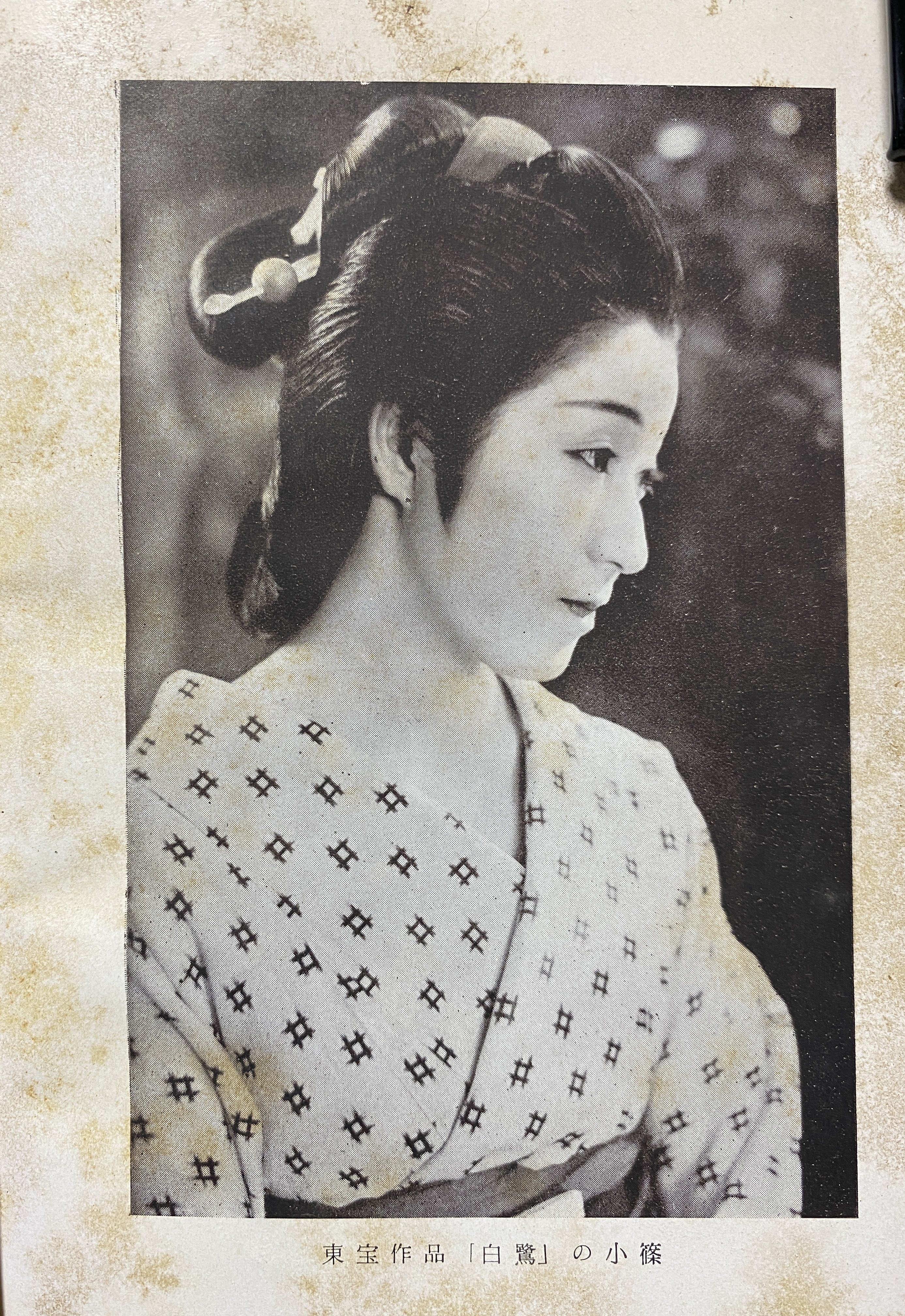 自然誌古典文庫D室 on X: