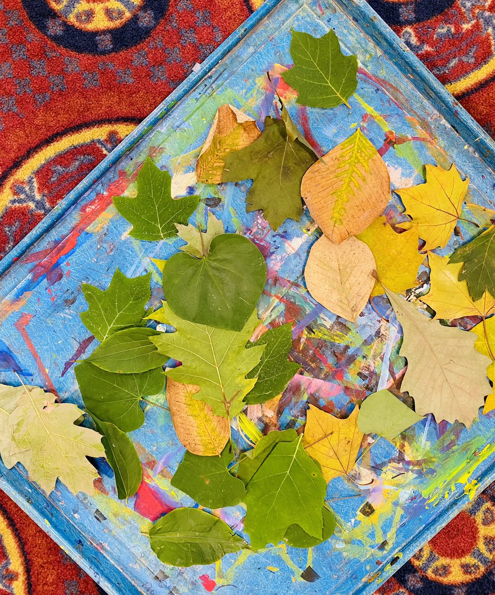 BarnesLSEArts's tweet photo. Relief impression sculptures with @LClarkLSEarts and @donohoLSEArts to begin our leaf men! 🍁 @cpsfinearts @LSEArts 

#science #art #artintegration https://t.co/0riEdmxC35