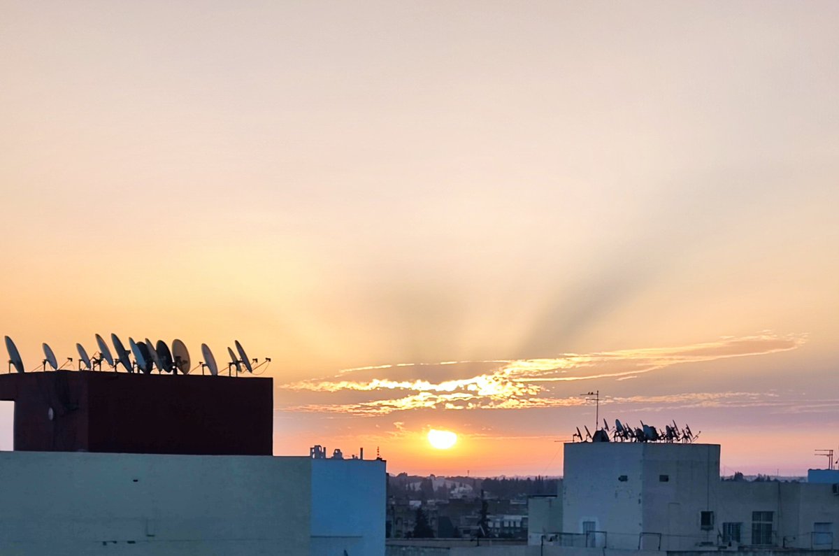 mabdelaziz_moha's tweet photo. FOURTH DAY: a beautiful sunrise gave us good morning today in Meknes to continue with #MOROCCOFIELDTRIP2022. We had to continue with the seed bank experiment for #OUTevolution project, this time in the Middle Atlas. Last time I was in this range this was the picture. Not today🧵 https://t.co/xZ6MOr6J3J