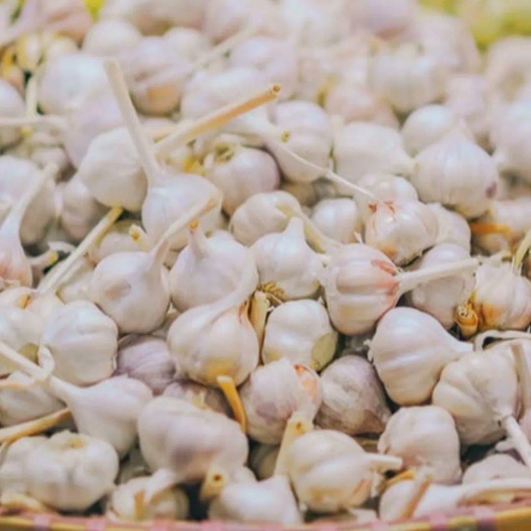 GardenOfEveFarm's tweet photo. Our staff are all ready and hyped for the Garlic Festival!
See you this weekend!!!!
#garlic #festival #LIGarlicfestival #suffolk #riverhead #gardenofeve #LIFarms #september #ilovegarlic #kids #craftbeer #mums #pumpkins
https://t.co/Pha4eoj5Q4 https://t.co/SueL81kajw