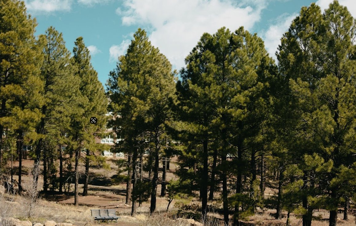 #FlagstaffHappenings Voted the Best Festival in Flagstaff 4 years in a row ➡️ Pickin' in the Pines! 🎶 bit.ly/3ArbXXT