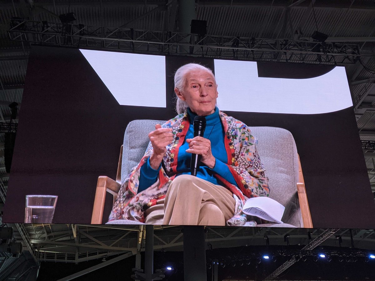 avidlyapac's tweet photo. Saw Dr. Jane Goodall live at @INBOUND. No biggie... just kidding, it's huge 😍 #inbound2022 https://t.co/liZ3aJRiWl