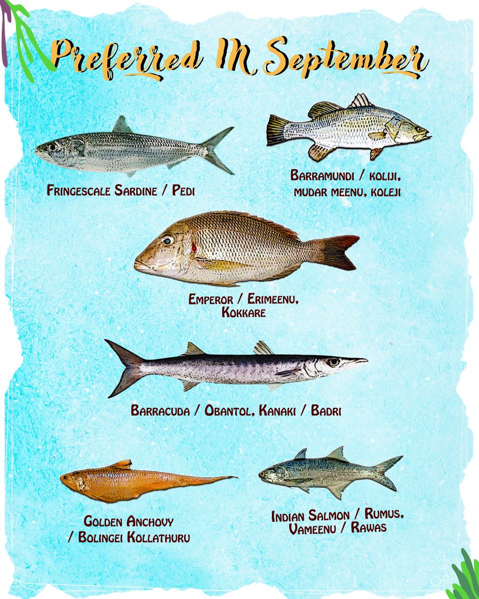 Know Your Fish tweet media