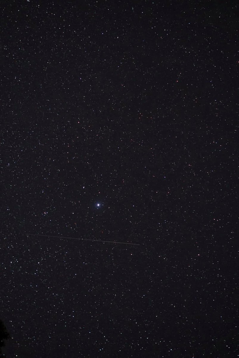 ston_her's tweet image. You know what I love? The stars. But do you know what I really fucking love? Getting high has fuck and just gazing into the stars feeling how great life is. (Here’s some of my star pics) #maryj #highasthesky #astrology (brightness up)
