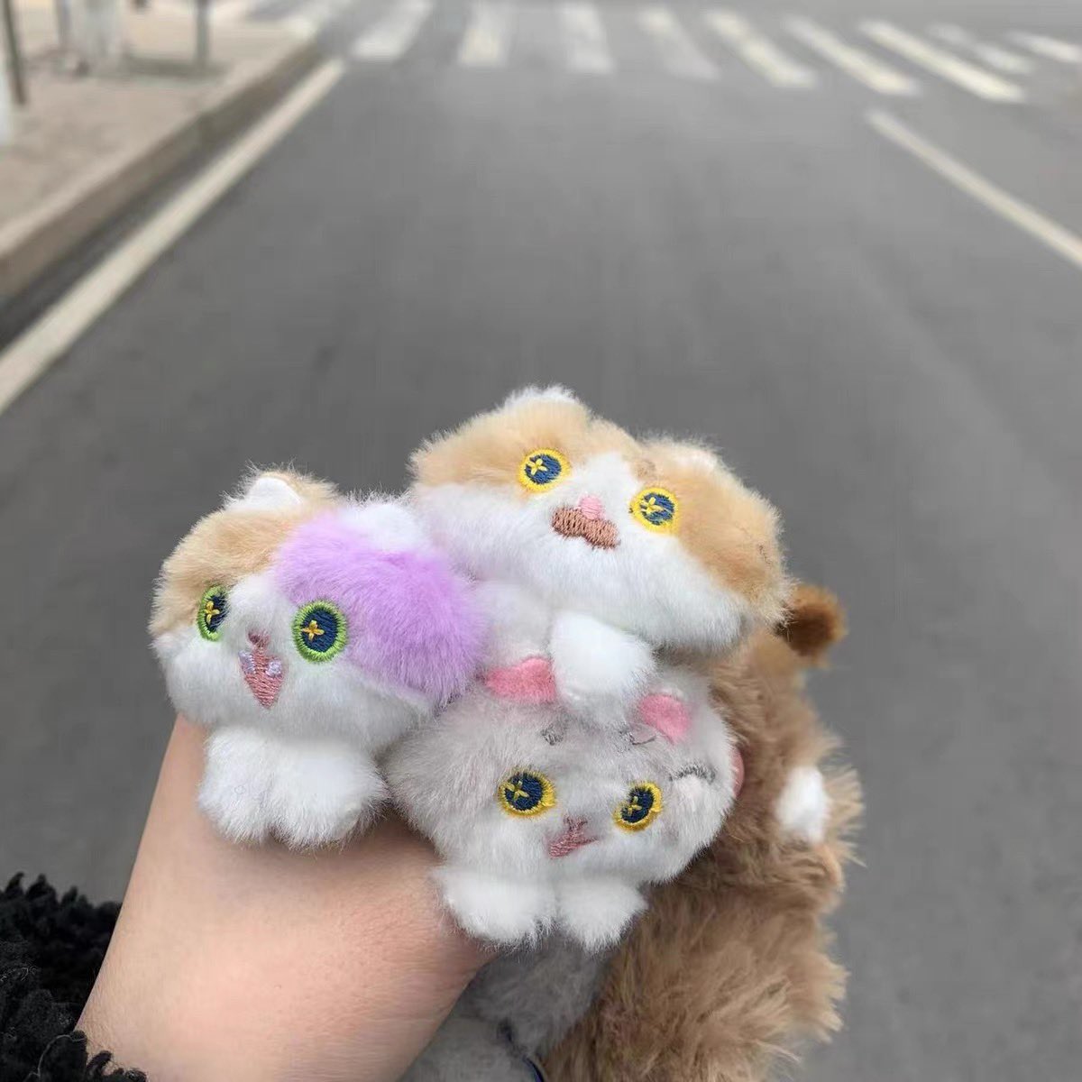 damugi09's tweet photo. 🌸고양이 머리끈 후기사진🌸 https://t.co/777ZYJTz7z