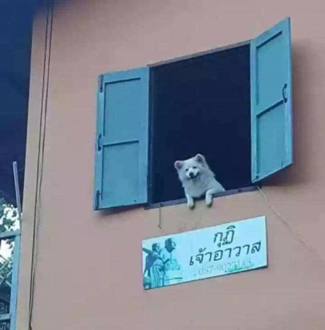 นมัสการค่ะหลวงพ่อ