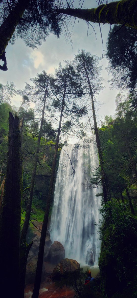 AxtnaraPhoto's tweet photo. 📍Complejo Turístico Vencedores en San Dimas

#DurangoLaNuevaAventura @DurangoTravel ❤️😍 #waterfalls #cascadas https://t.co/CgpZab11WK