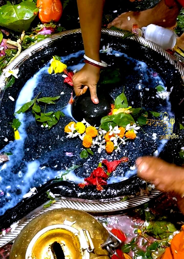 श्री बाबा बैद्यनाथ ज्योतिर्लिंग जी के आज के दिव्य दर्शन 09.09.2022