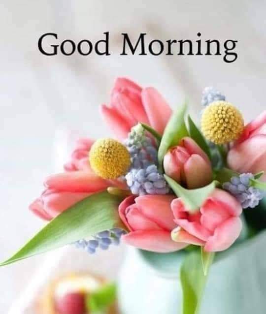 singhrohtash53's tweet photo. @reallovelyghosh https://t.co/eLCmCfDep3