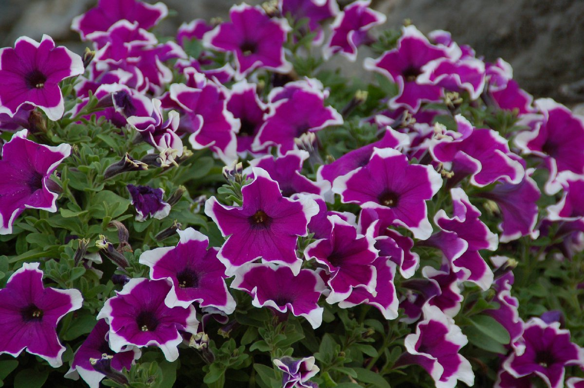 #GoodMorning #Friends