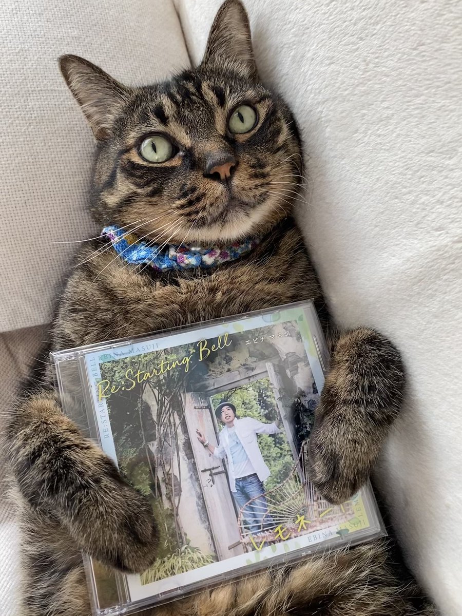 1056mion222's tweet photo. 昨日の夜の不思議なおぼろ月🌖
ミオンとお散歩…🐈⬛
テクテク🐾ゴロ〜ン💦
満足したらしい…(=^x^=)💕
秋のマキシシングル💿楽しみだね~ฅ( ͒ᵕ̳◡ᵕ̳ ͒)。o○
#ebinamasuji https://t.co/NVpUq1Hc0f
