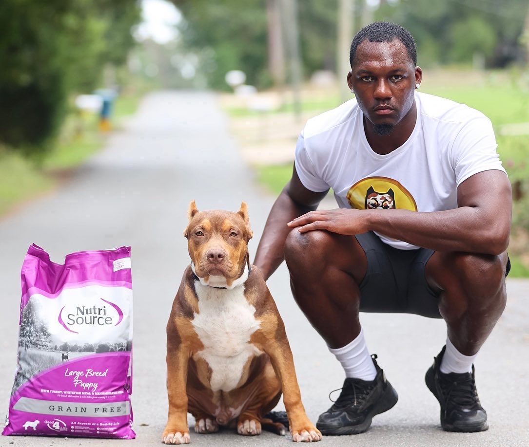 alandiseharris's tweet photo. We love Grain Free Dry Puppy Food from @NutriSourcePF ! #nutrisource #shoplocalpet #healthypets #familyowned #ad https://t.co/yfVuEIgwE8