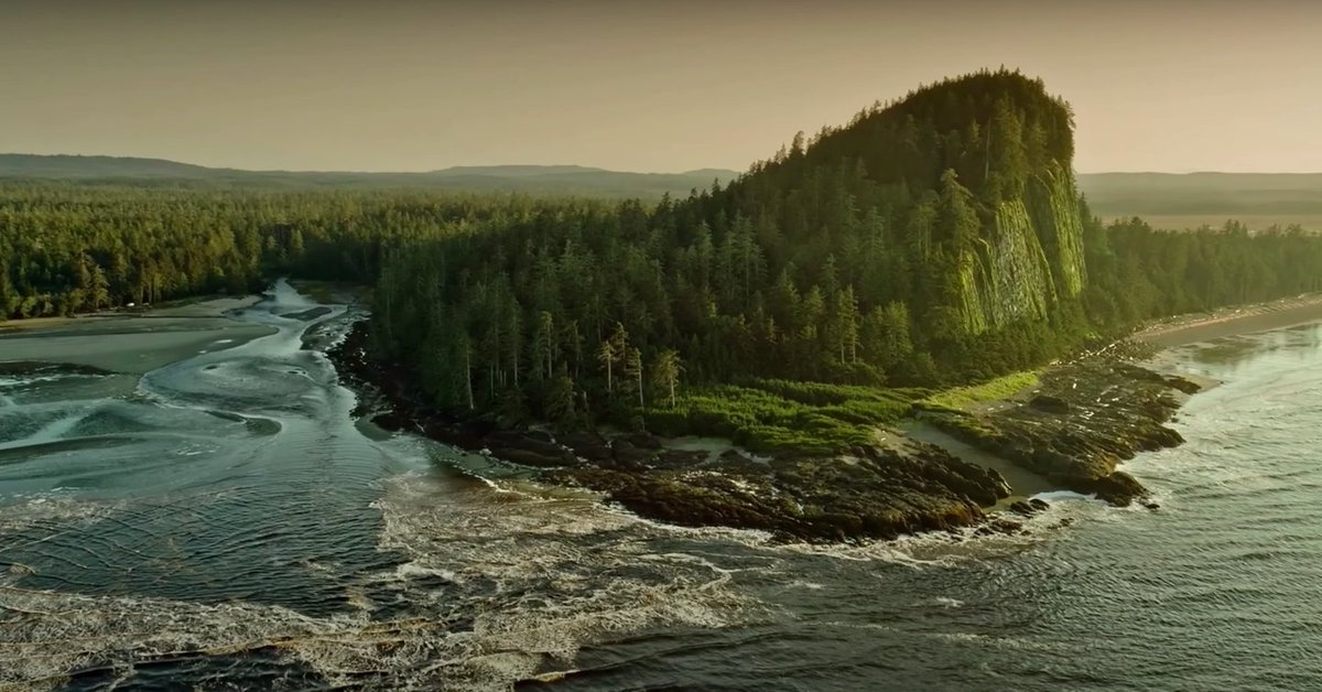 Wilderness Tourism Association tweet media