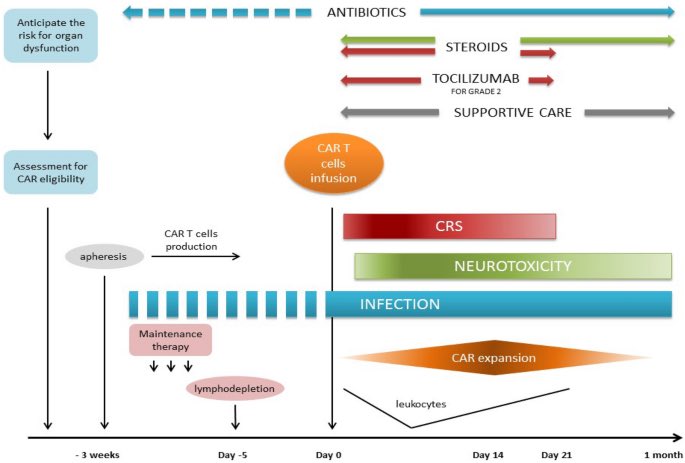 Tim Wigmore ICU backup for haemonc patients with CAR Tcell side effects  #CICM2022ASM.    
Int Care Med 2020 46, 1723: