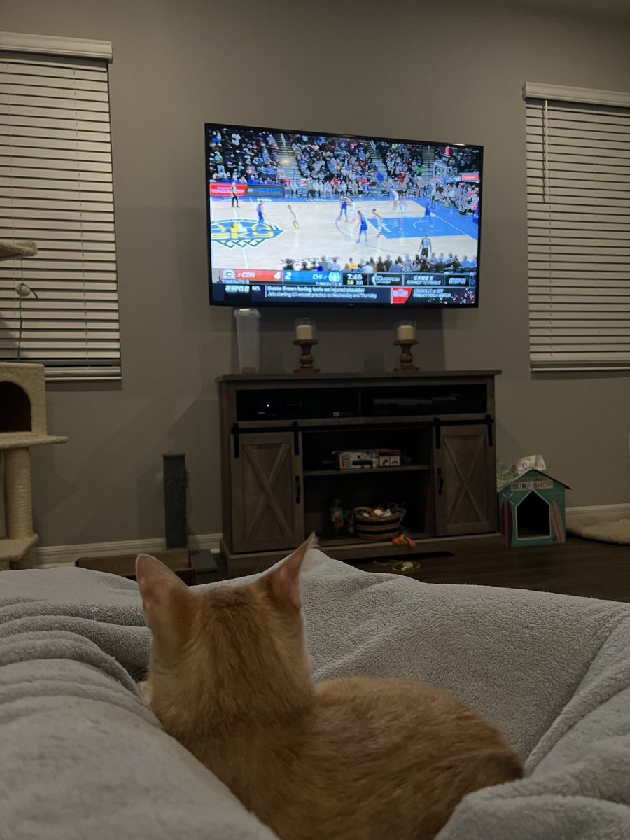 ShelleyBee17's tweet photo. #SunIn5 #CTSun #letsgosun
The best company to watch a game with;they arenโt loud, but have no problem if I am! ๐๐โ๏ธ https://t.co/zFV4BC5c7r