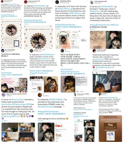 KTH_News's tweet photo. 🗞 On the #BTSV's dog Yeontan’s 5th birthday, fans around the world celebrated with meaningful donations to help animals around the world who are in need and heartfelt messages on SNS, where “#HappyBirthdayYeontan” topped the world-wide trend.

2 https://t.co/jVBfyfSmYw https://t.co/hrVJmKaFe5