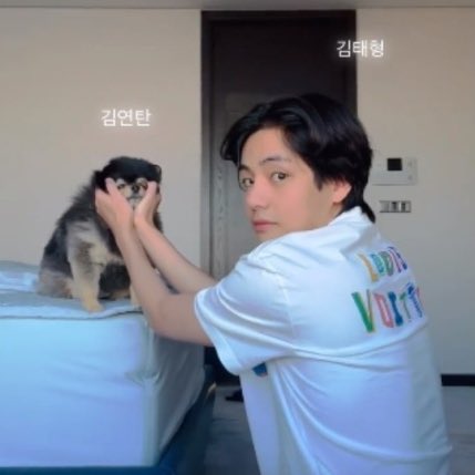 KTH_News's tweet photo. 🗞 On the #BTSV's dog Yeontan’s 5th birthday, fans around the world celebrated with meaningful donations to help animals around the world who are in need and heartfelt messages on SNS, where “#HappyBirthdayYeontan” topped the world-wide trend.

2 https://t.co/jVBfyfSmYw https://t.co/hrVJmKaFe5