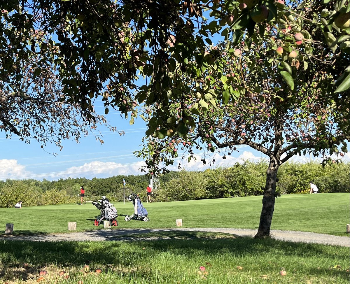 GlandVGirlsGolf's tweet photo. Great win tonight against Voorheesville 131-176 at Orchard Creek. Medalist Megna Naidu shot an impressive 40. #freeapples ๐ @GoDutchAthletix ๐๏ธโโ๏ธโค๏ธโณ๏ธ๐ https://t.co/GTQt9a3TmG