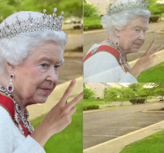 Catman Pants (@catmanpants) on Twitter photo 