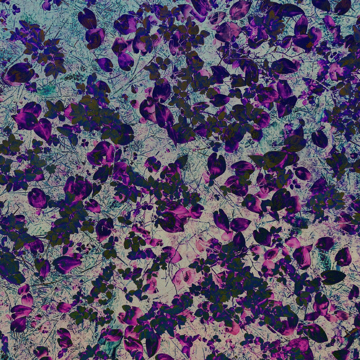 artimedov's tweet image. You can license this artwork:
rarible.com/token/flow/A.0…
Created by @Artimedov while exploring new Multiway genre / recovering Digital Alchemy conception.
#rarible #flow #nft #nftart #floorprice #flow #NFTs #nftnews