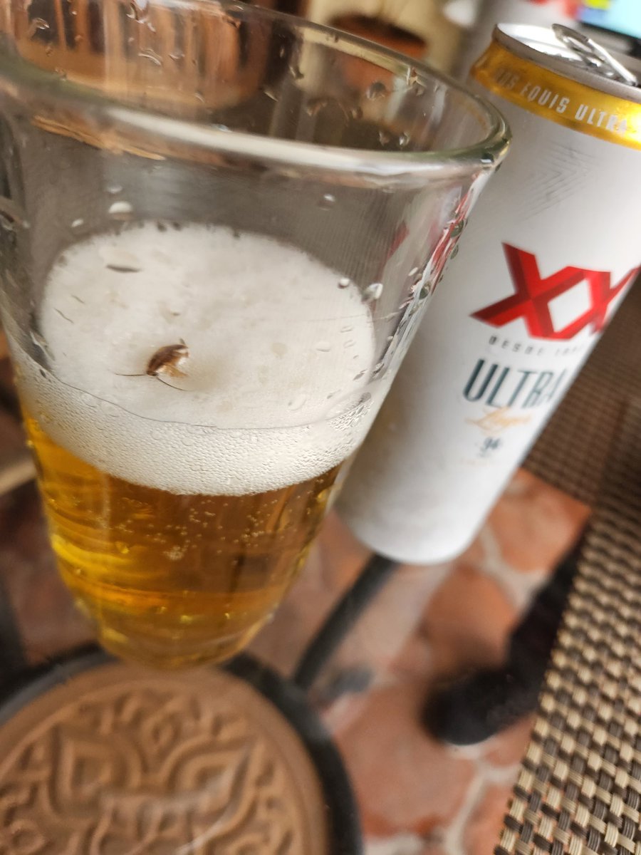 15Corella's tweet photo. Que paso @DosEquisMx nos salio esto en una lata, de suerte lo servimos en vaso para darnos cuenta https://t.co/cWoI6hmW8p