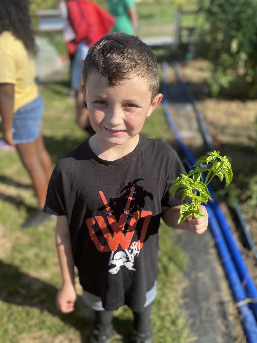 Jennifer Medley tweet media