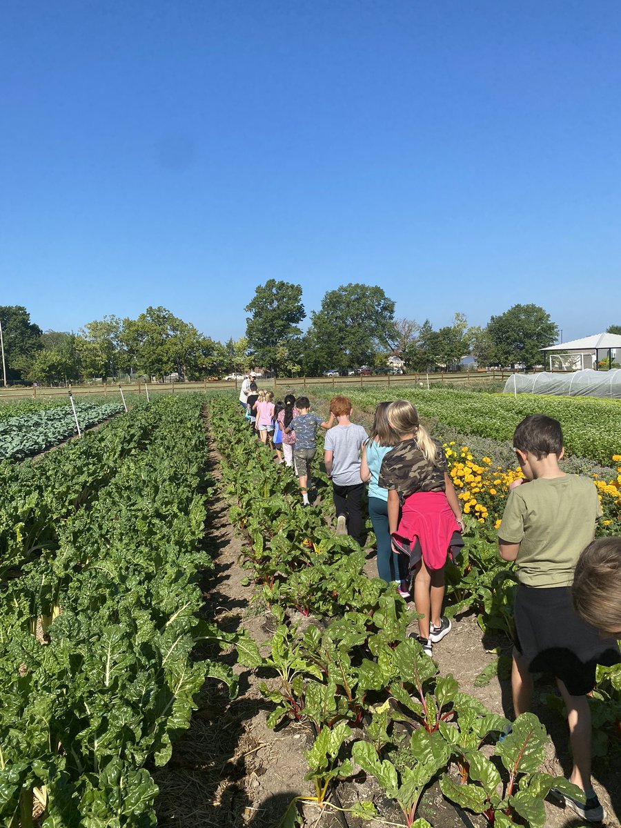 Jennifer Medley tweet media