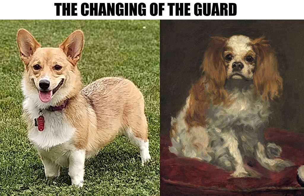 Tim Bedding tweet media