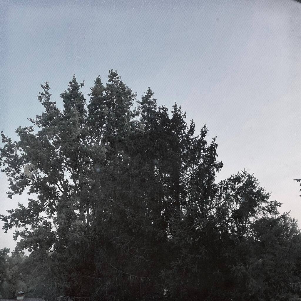 Spectral_Illumi's tweet photo. 2022-09-08 #Wisconsin evening plus #Hipstamatic #ScottS #ATypePlate #nature https://t.co/yzuEi4KlfS https://t.co/WHagSNHjlf