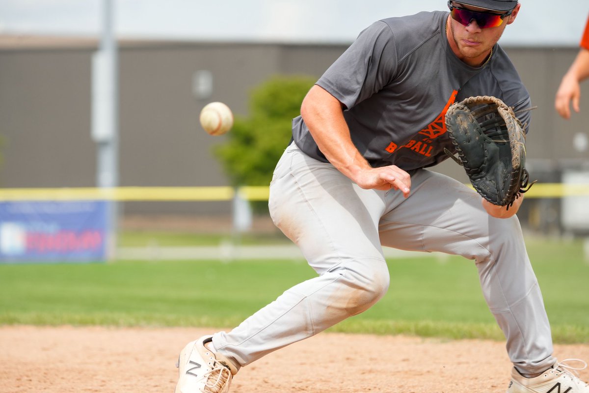 Findlay Baseball tweet media