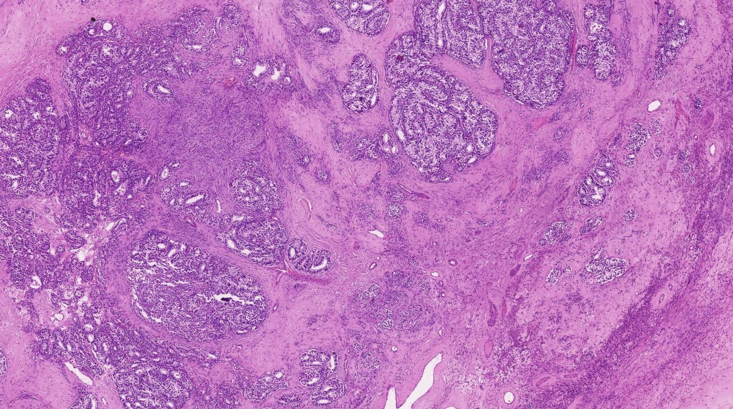 Aswathy Menon Ananthvikas on Twitter 