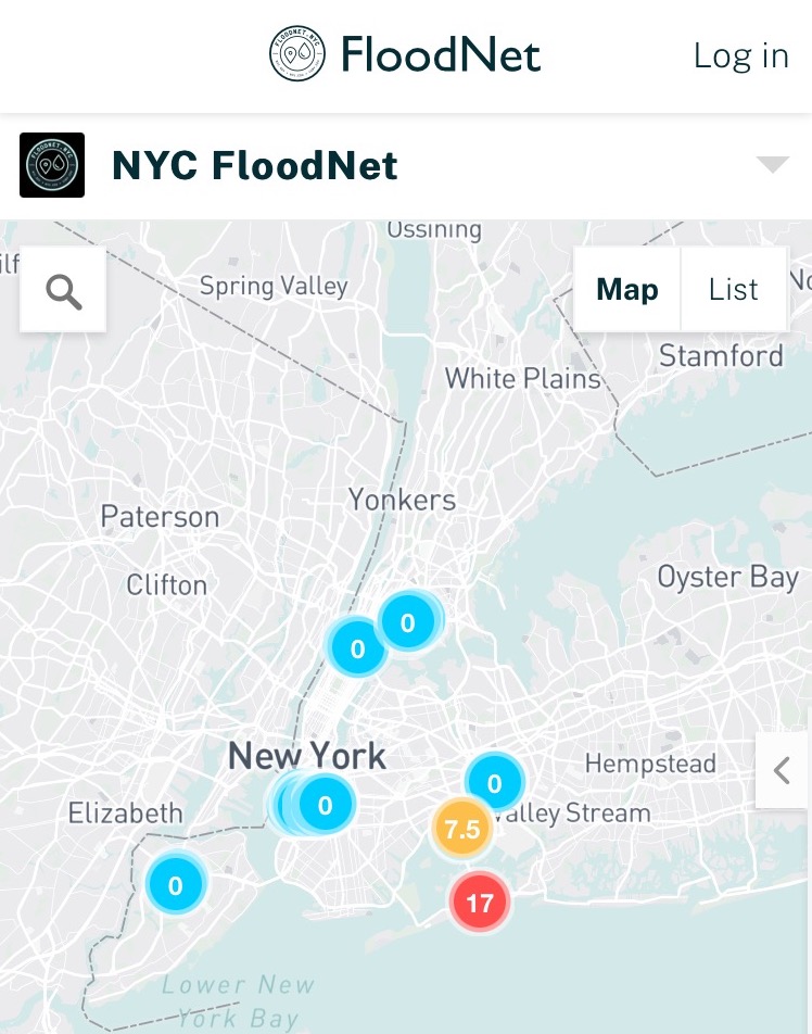 Andrea Silverman tweet media