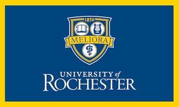 TheRadRoom tweet media