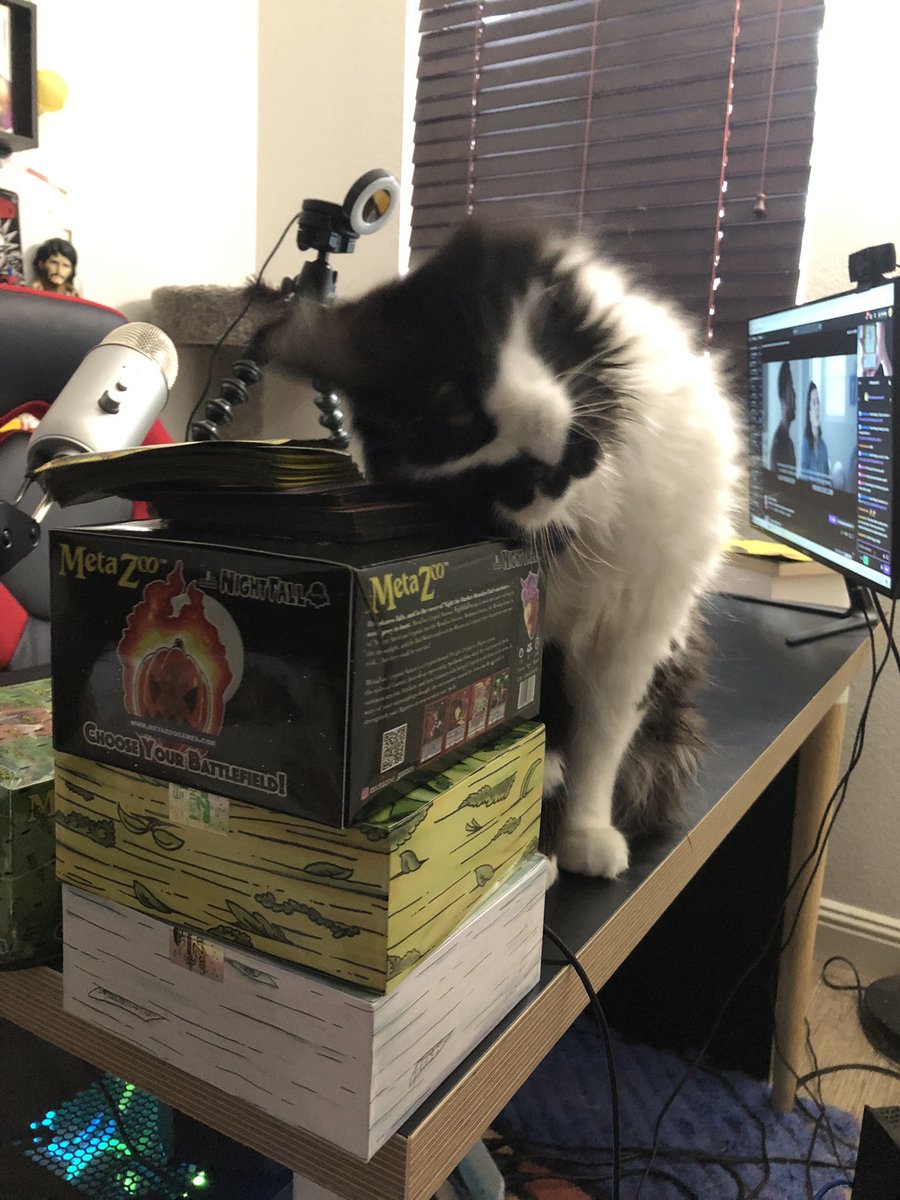 coryisntfunny's tweet photo. @MetaZooGames I’m excited to open my first #MetaZoo booster box on stream! Wish me luck! https://t.co/3MboKY7wk4 https://t.co/0uYg7R1FQF