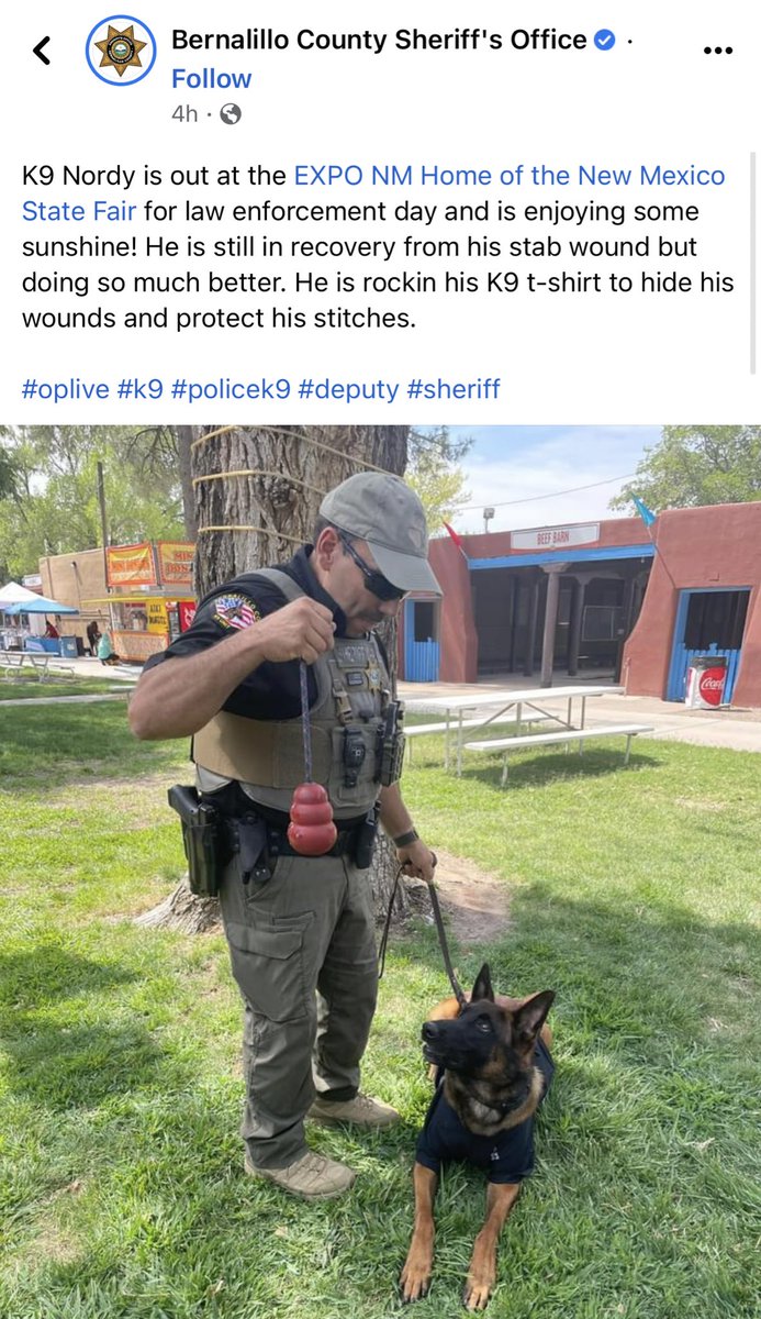 Glad to see K9 Nordy is feeling better after surgery!

donorbox.org/national-polic…