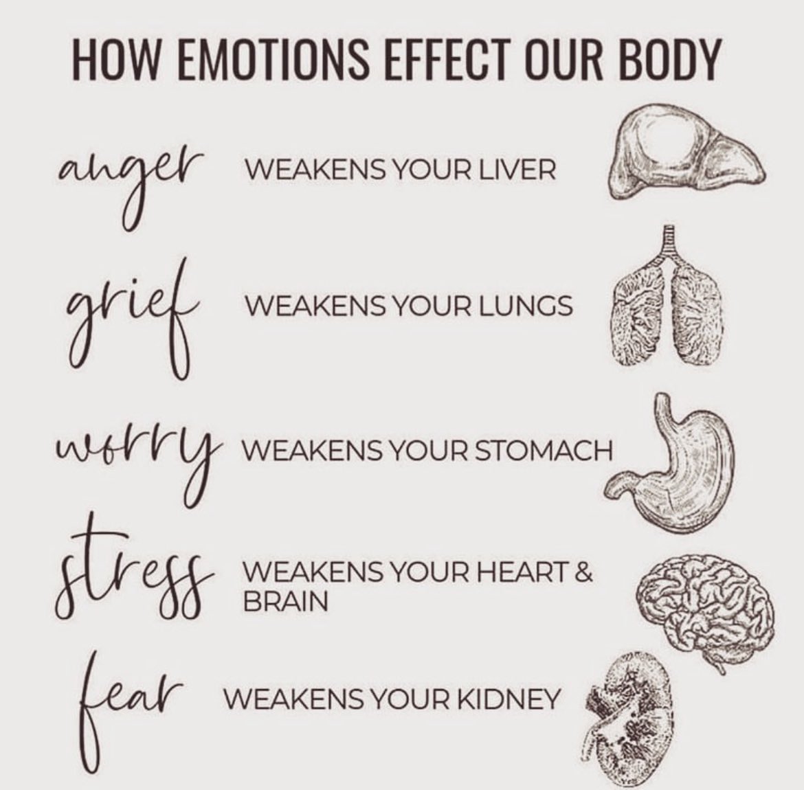 DialaJ81's tweet photo. The health of your organs plays a big role in the expression of emotions🗣
#chinesemedicine #chi #energymeridians #ayurvedicmedicine #prana #healthyorgans #healthyemotions #nofear #noworry #nogrief #nosadness #noanger #nostress #happy #joyfull #content #safe #hopeful https://t.co/J3ATeteu1y