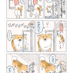 いらないと思い、水を止めると･･･!ある日の愛犬とのやり取りを描いた犬漫画!