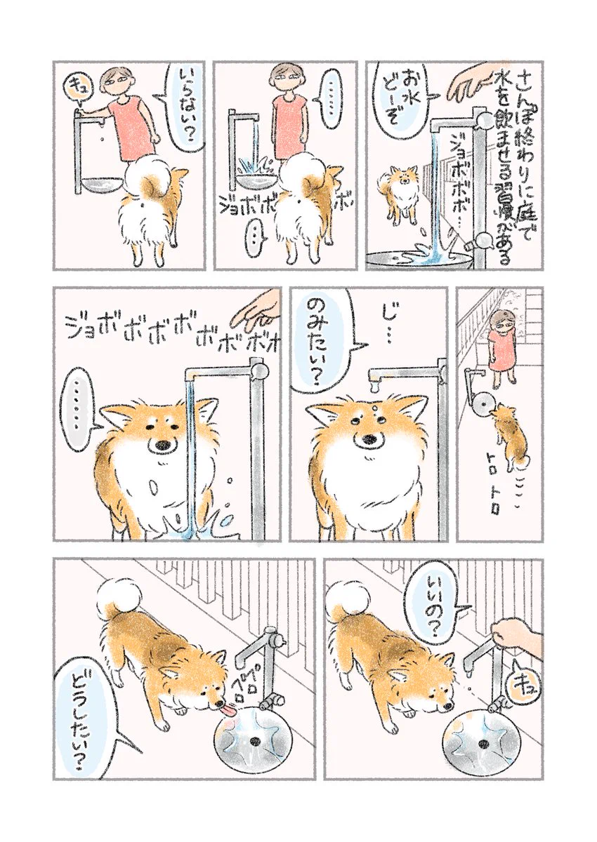 いらないと思い、水を止めると･･･！ある日の愛犬とのやり取りを描いた犬漫画！