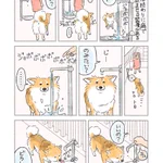 いらないと思い、水を止めると･･･!ある日の愛犬とのやり取りを描いた犬漫画!