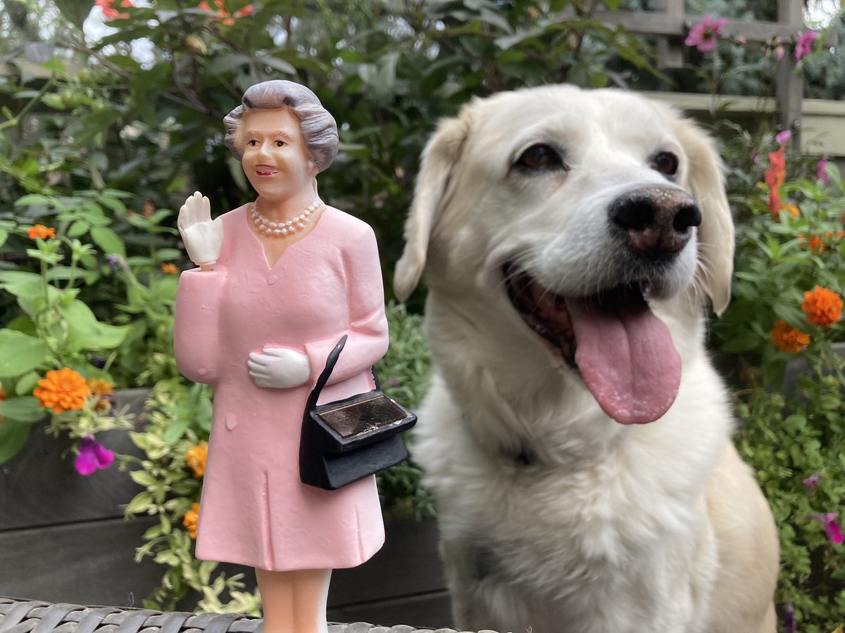 BrodyGraduate's tweet photo. May she ever keep waving. 👋 #QueenElizabeth #QueenElizabethII #HerMajesty https://t.co/jpNTTLD5We