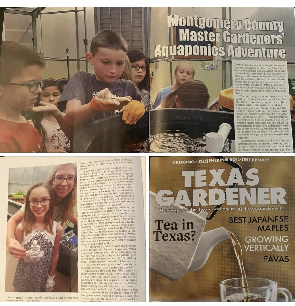Our JMG program was published in Texas Gardener Magazine! 🐟<a href="/TXGardenerMag/">Texas Gardener</a> <a href="/JMGKids/">JuniorMasterGardener</a>