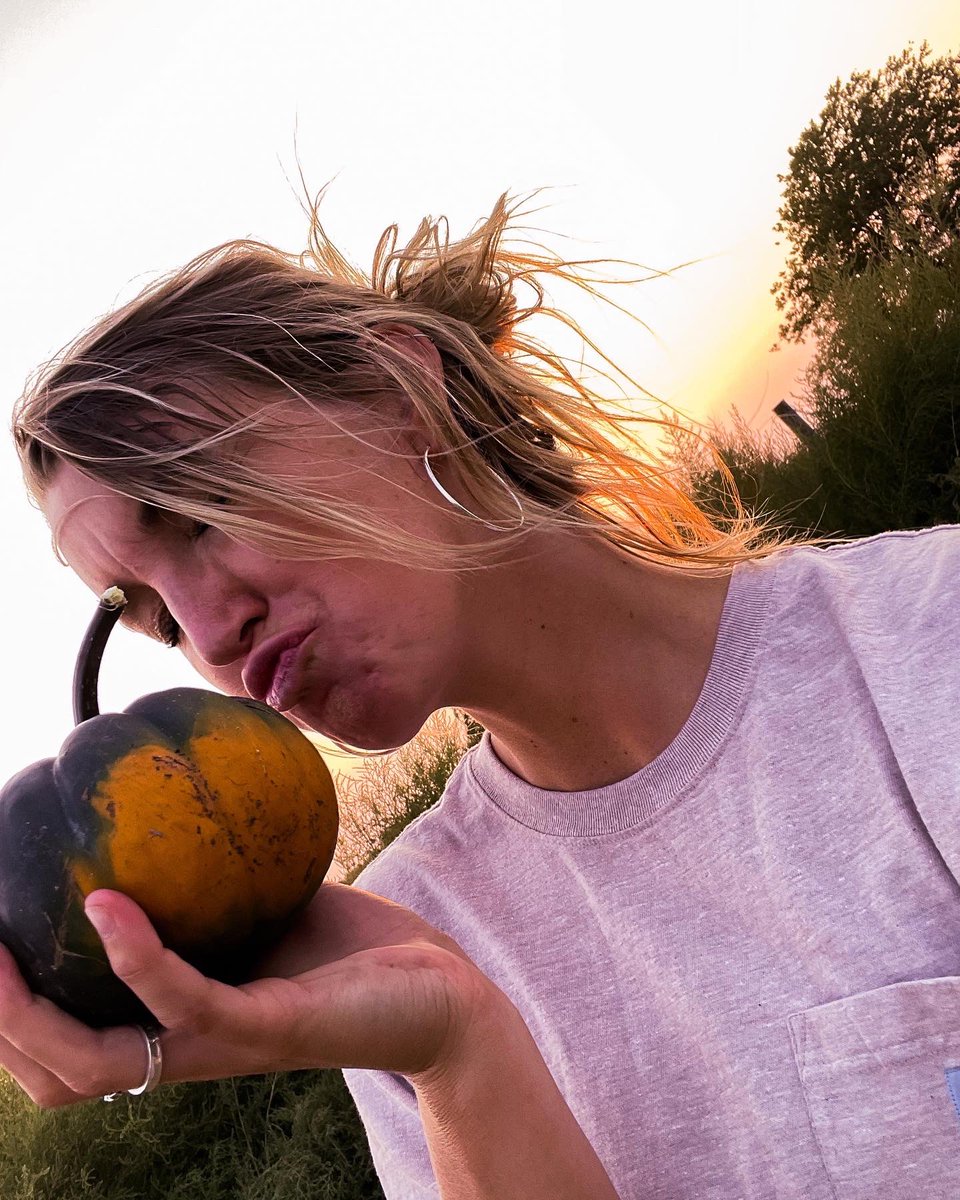 onlyottfarms's tweet photo. 90 degrees out today, let’s talk pumpkins 🎃✨🖤🧡 https://t.co/XTSrJRL0hg