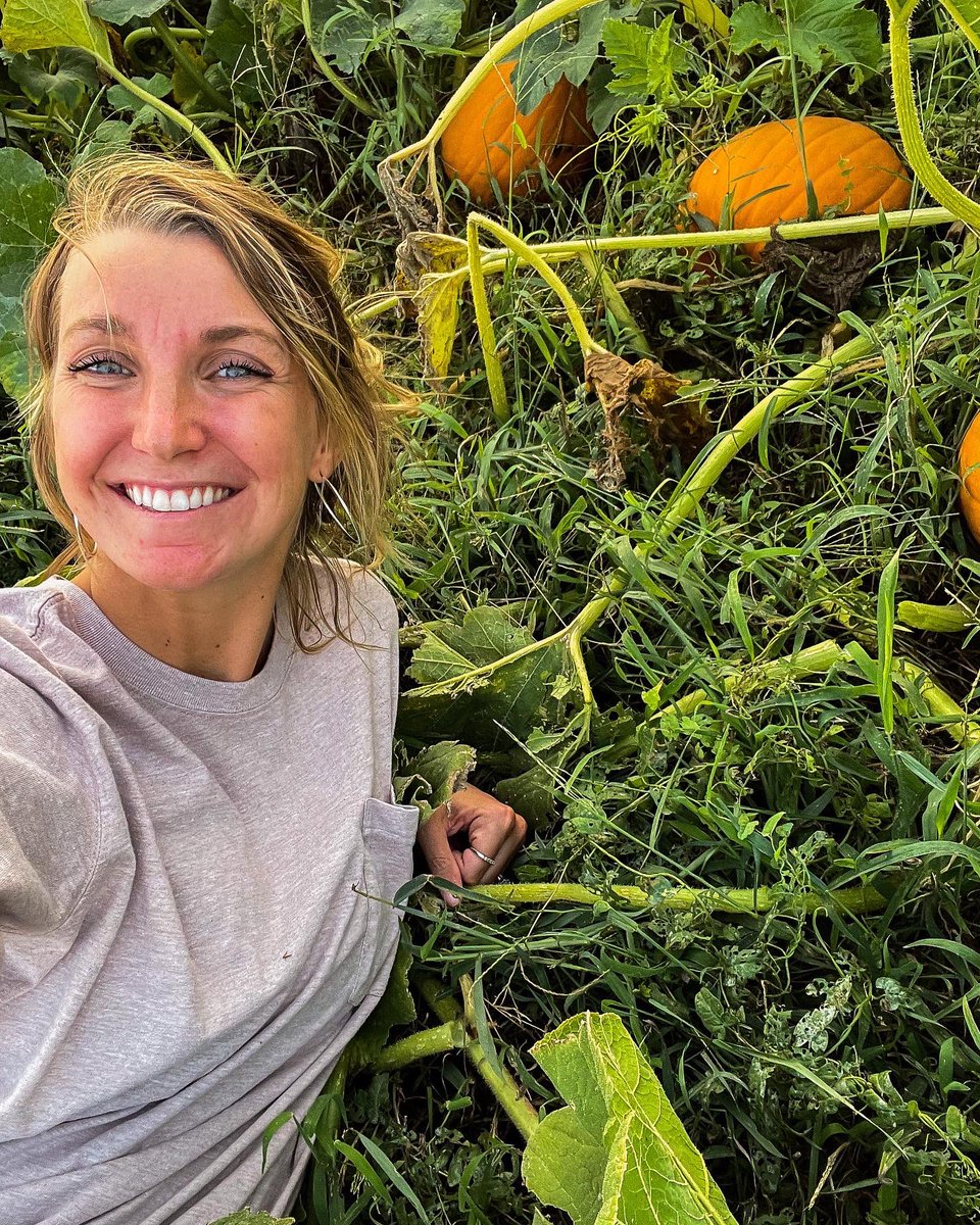 onlyottfarms's tweet photo. 90 degrees out today, let’s talk pumpkins 🎃✨🖤🧡 https://t.co/XTSrJRL0hg