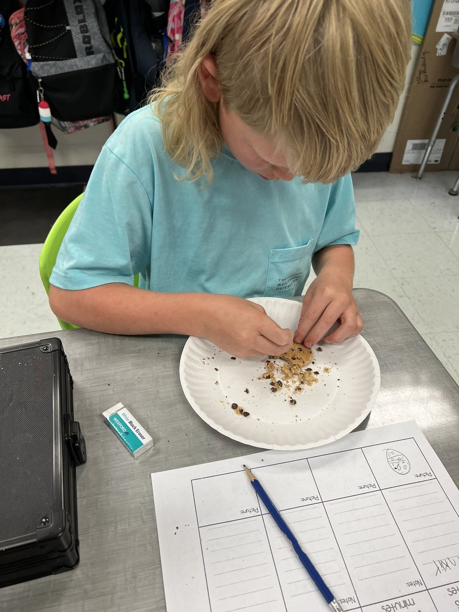 Talia Daniel tweet media