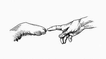 dilocondibujos_'s tweet photo. cuando necesitaba una mano, encontré una patita https://t.co/Hl2mV3tRVp