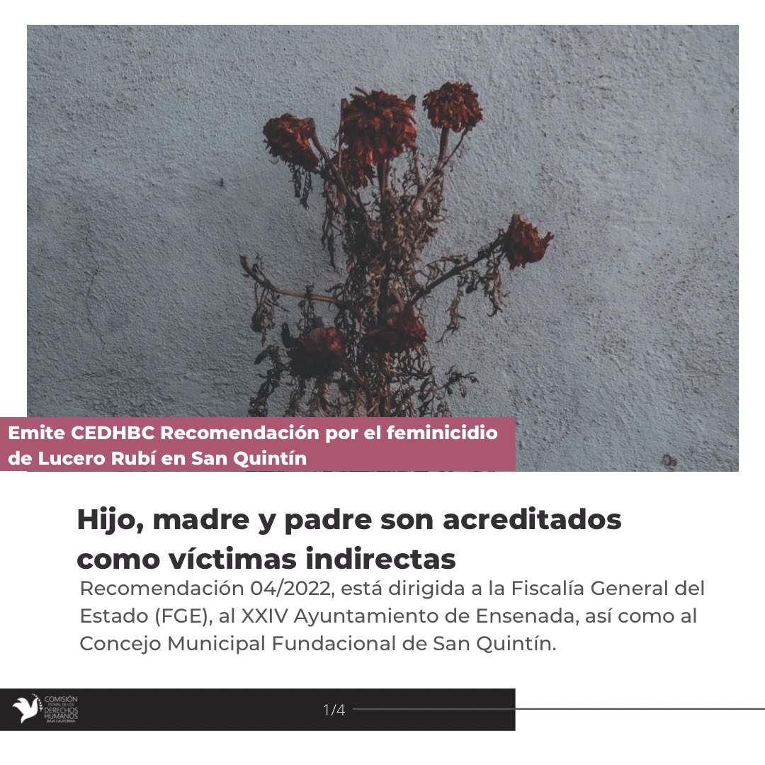 CEDHBC's tweet photo. La #CEDHBC emitió la Recomendación 04/2022, dirigida a la Fiscalía General del Estado (FGE), al XXIV Ayuntamiento de Ensenada, así como al Concejo Municipal Fundacional de San Quintín, por el feminicidio de Lucero Rubí en ese municipio. https://t.co/QdKmSyvZIa